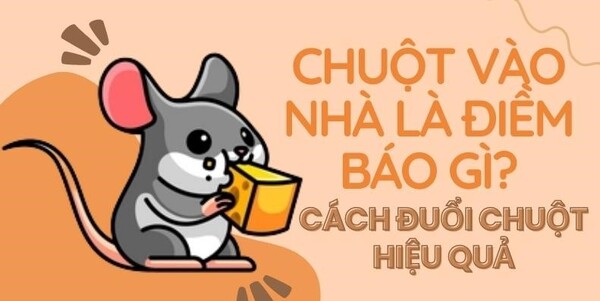 Chuột vào nhà điềm gì